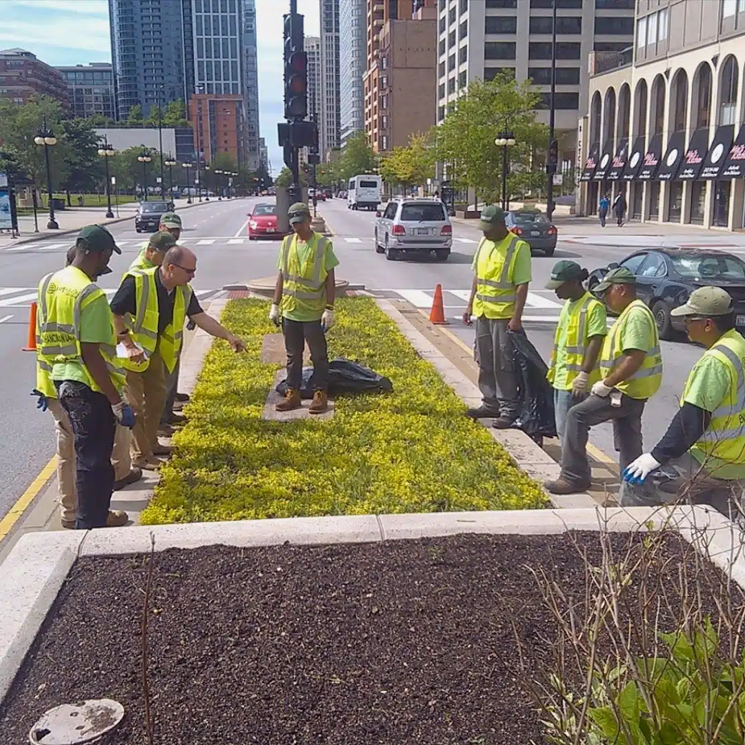 A Safe Haven - Thumbnail 8