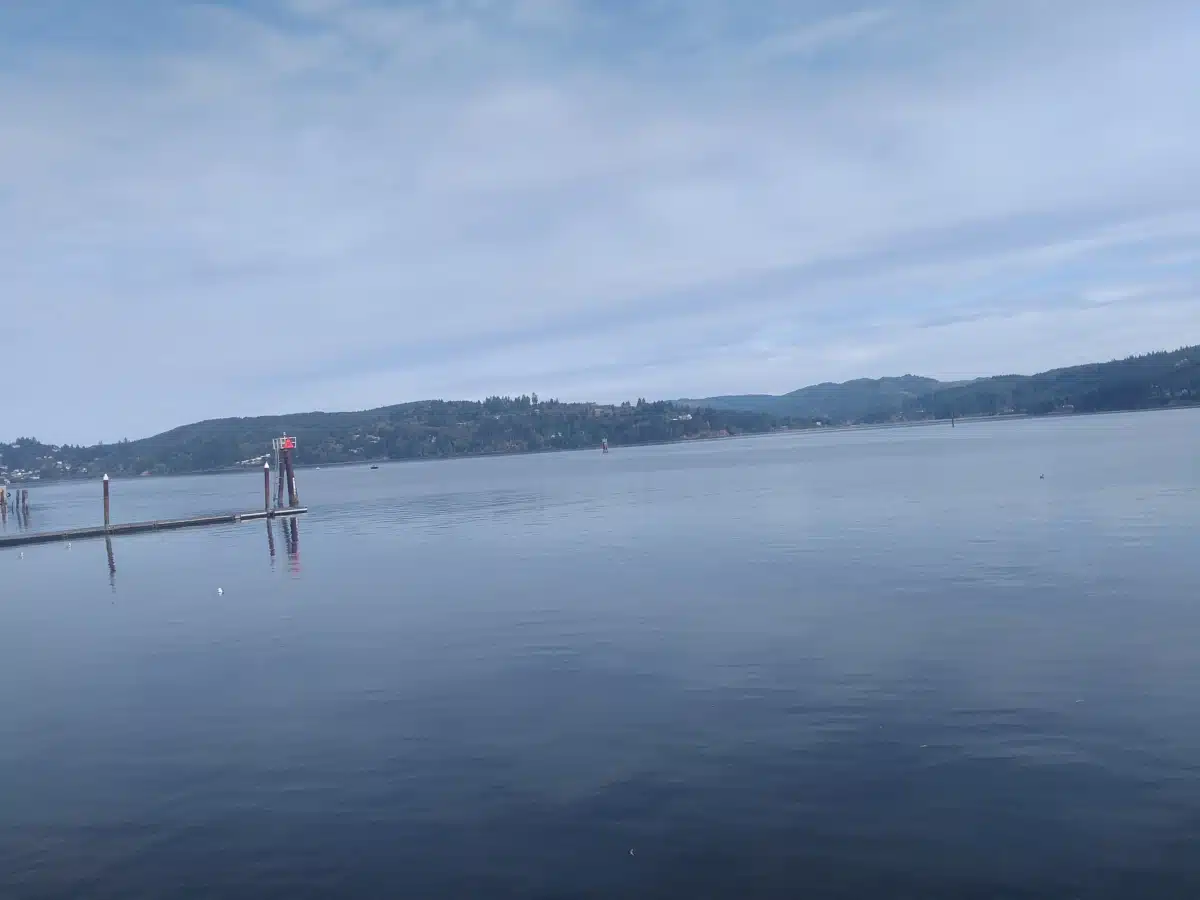 Adapt Integrated Healthcare - Thumbnail 4