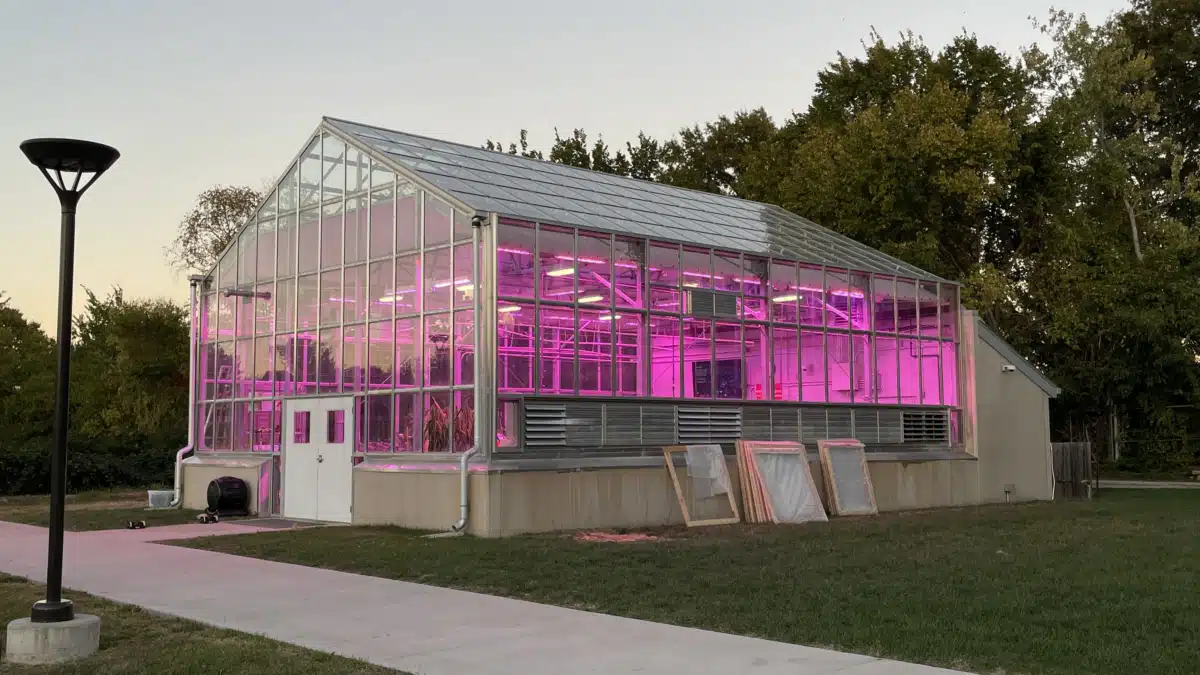 Add Csl Educ and Info Services (ACEIS) - Thumbnail 10