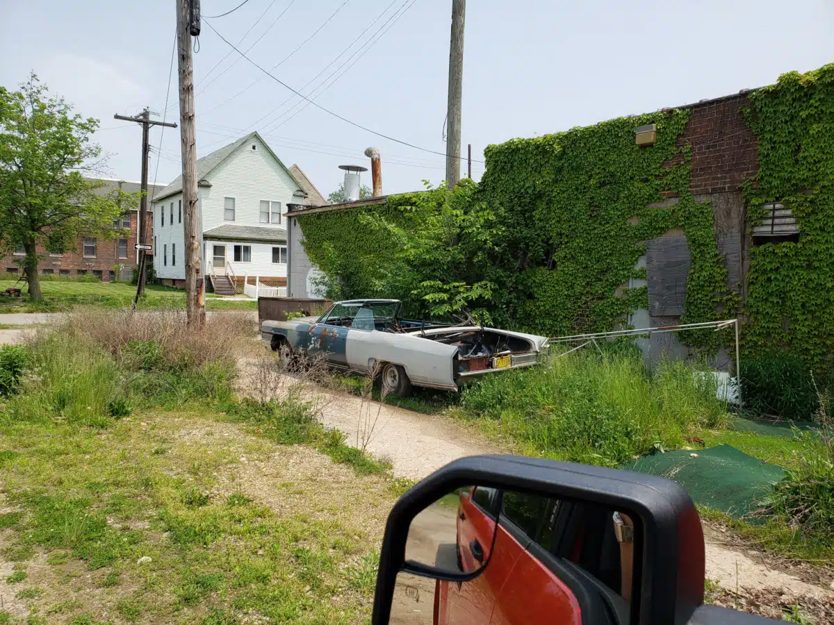 All Well Being Services