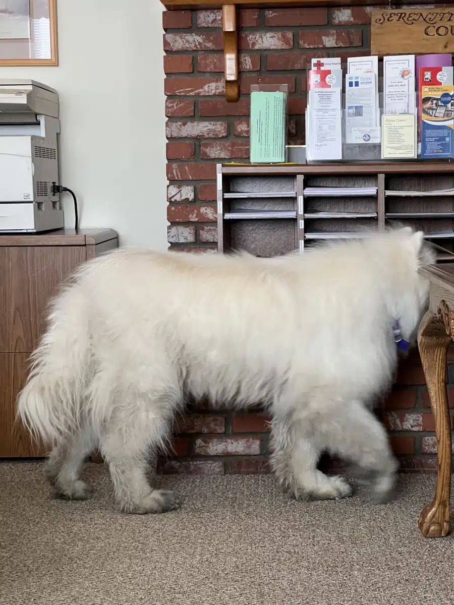 Alpine Recovery Center - Thumbnail 2