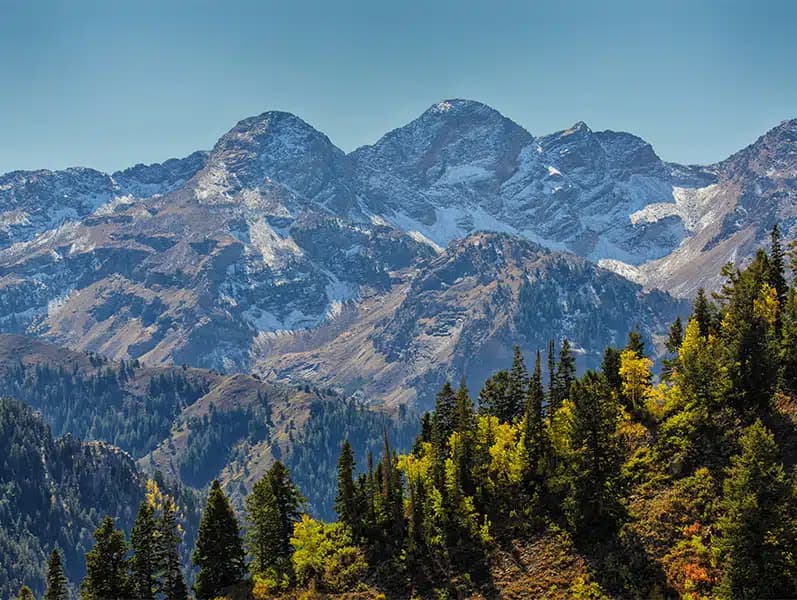 Alpine Recovery Lodge - Thumbnail 8