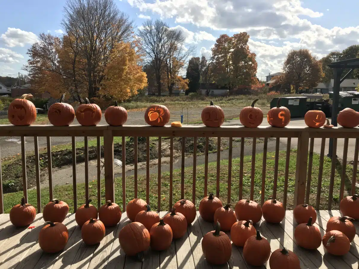 Alpine Springs - Thumbnail 2