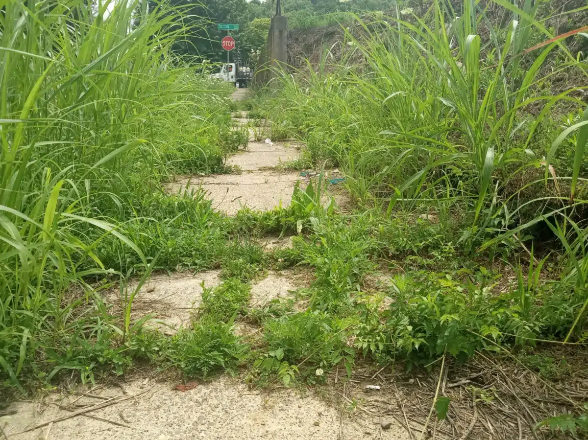 Amazing Grace Center - Thumbnail 7