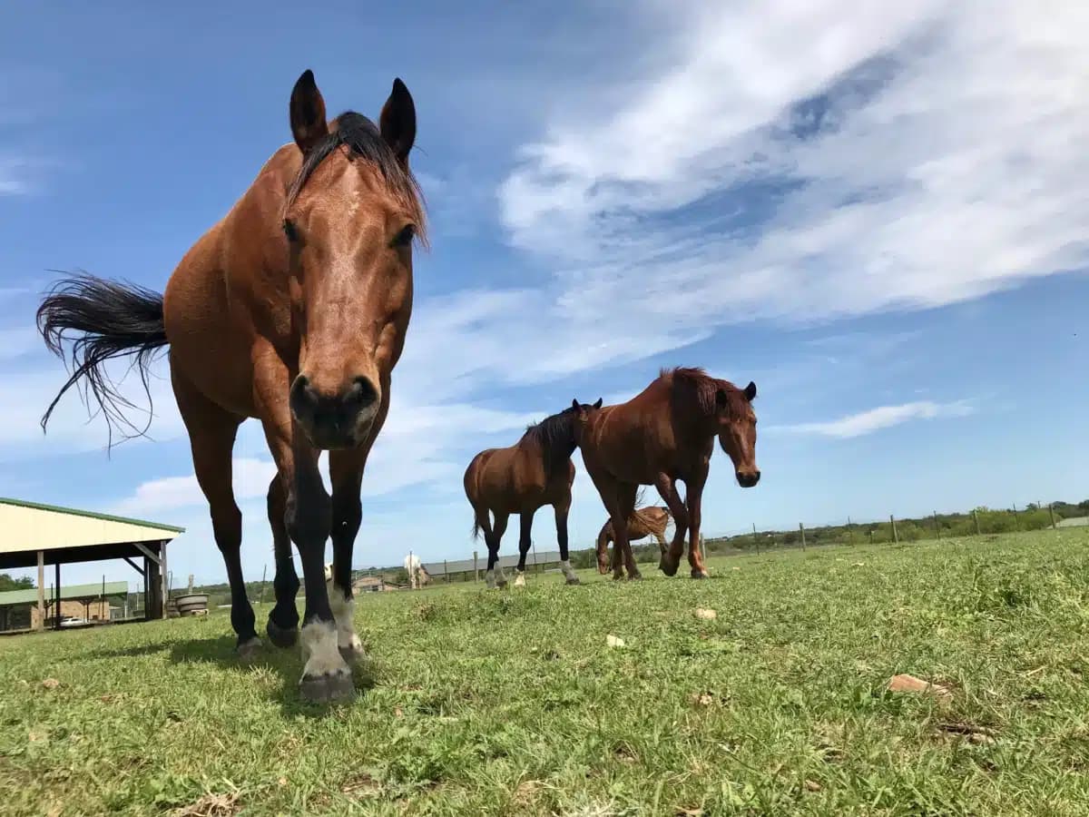 Arbor Behavioral Healthcare - Thumbnail 3