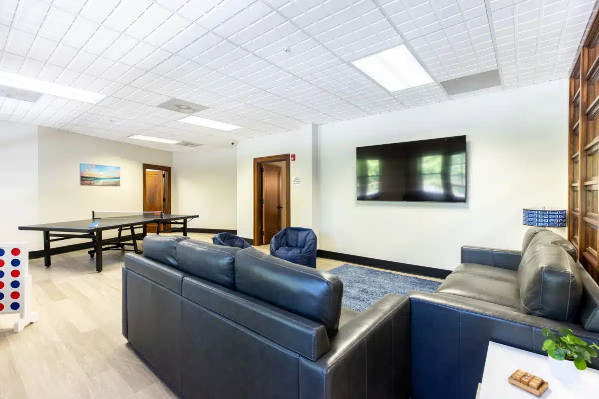 Arista Recovery - Thumbnail 3