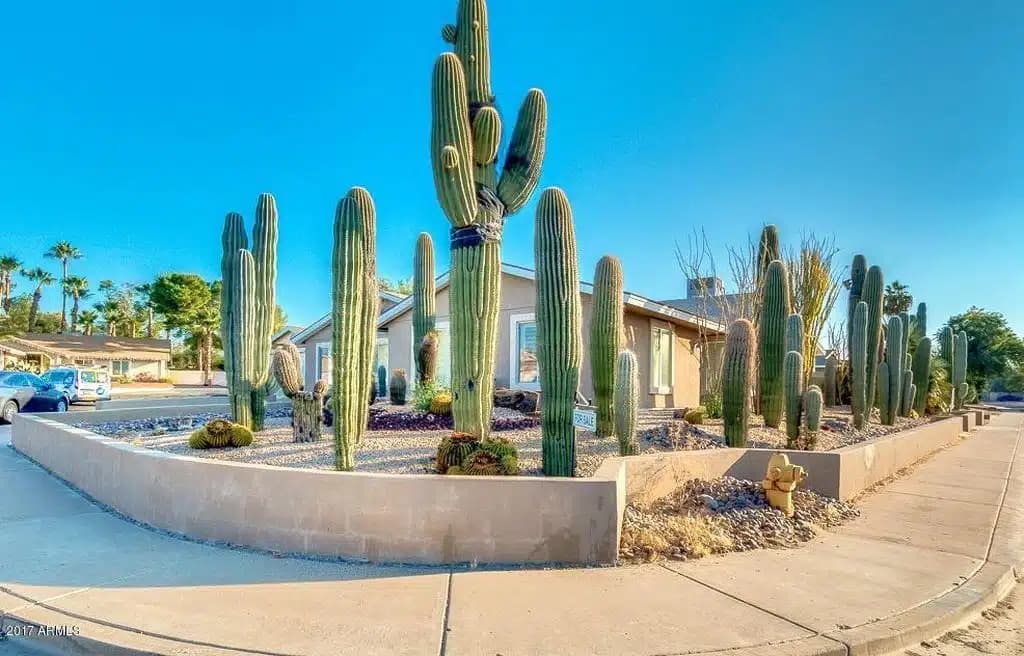 Arizona Addiction Center - Thumbnail 4