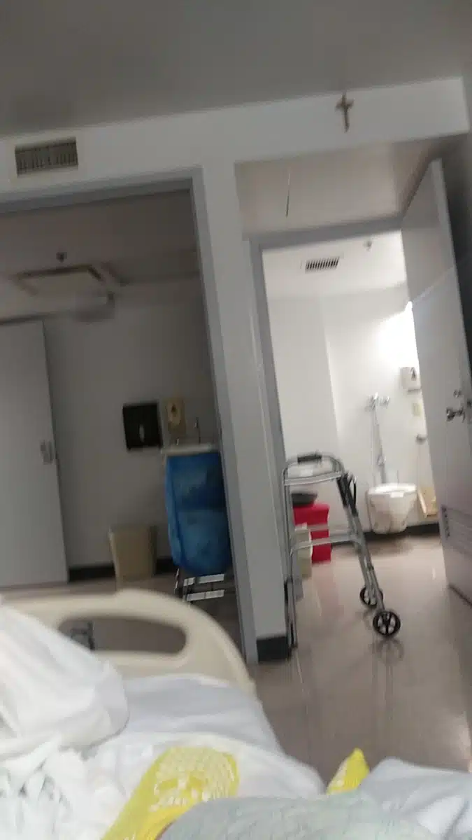 Ascension Saint Vincent - Thumbnail 10