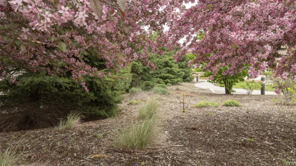 Avera McKennan Hospital (BHS) - Thumbnail 8