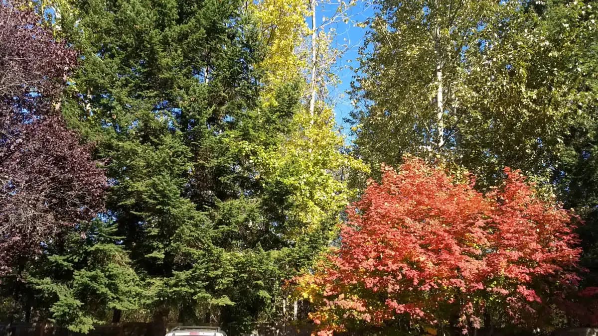 Behavioral Health Resources - Thumbnail 3