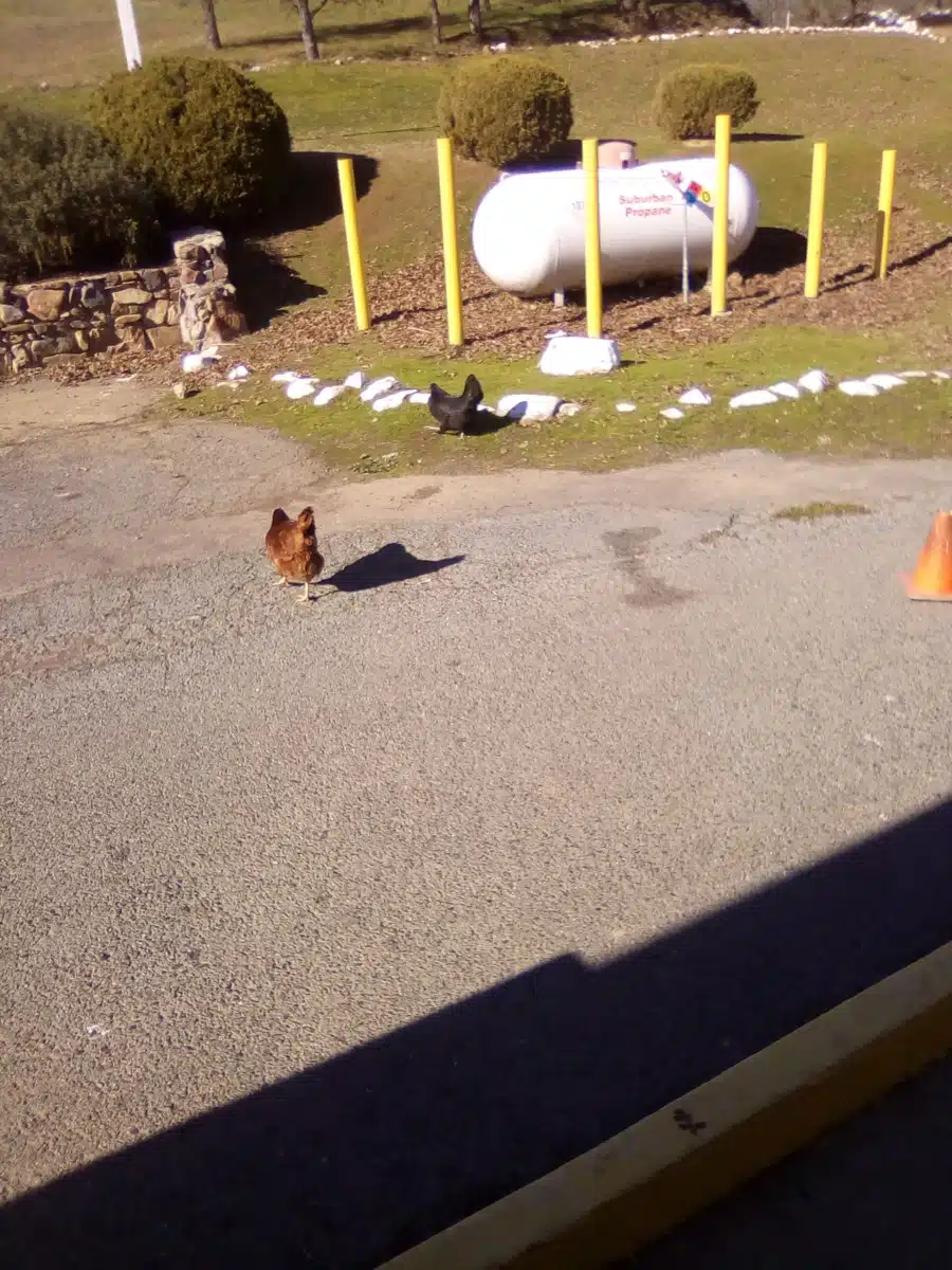 Bi Bett Corp - Thumbnail 9