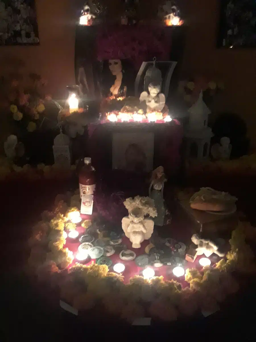 Bienestar Human Services - Thumbnail 3