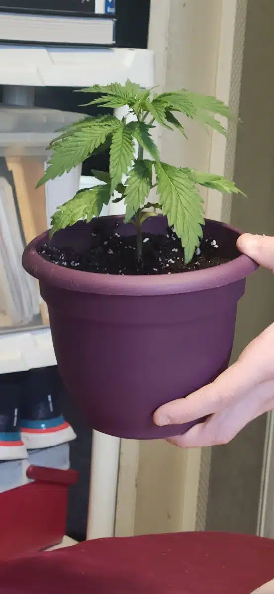 Bio Medical Behavioral Healthcare Inc - Thumbnail 8