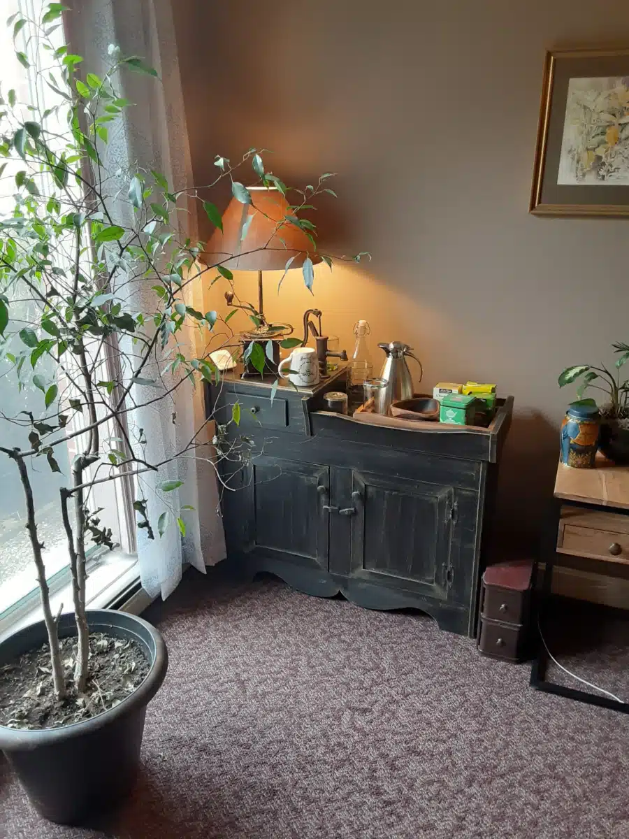 Blue Heron Neurofeedback and