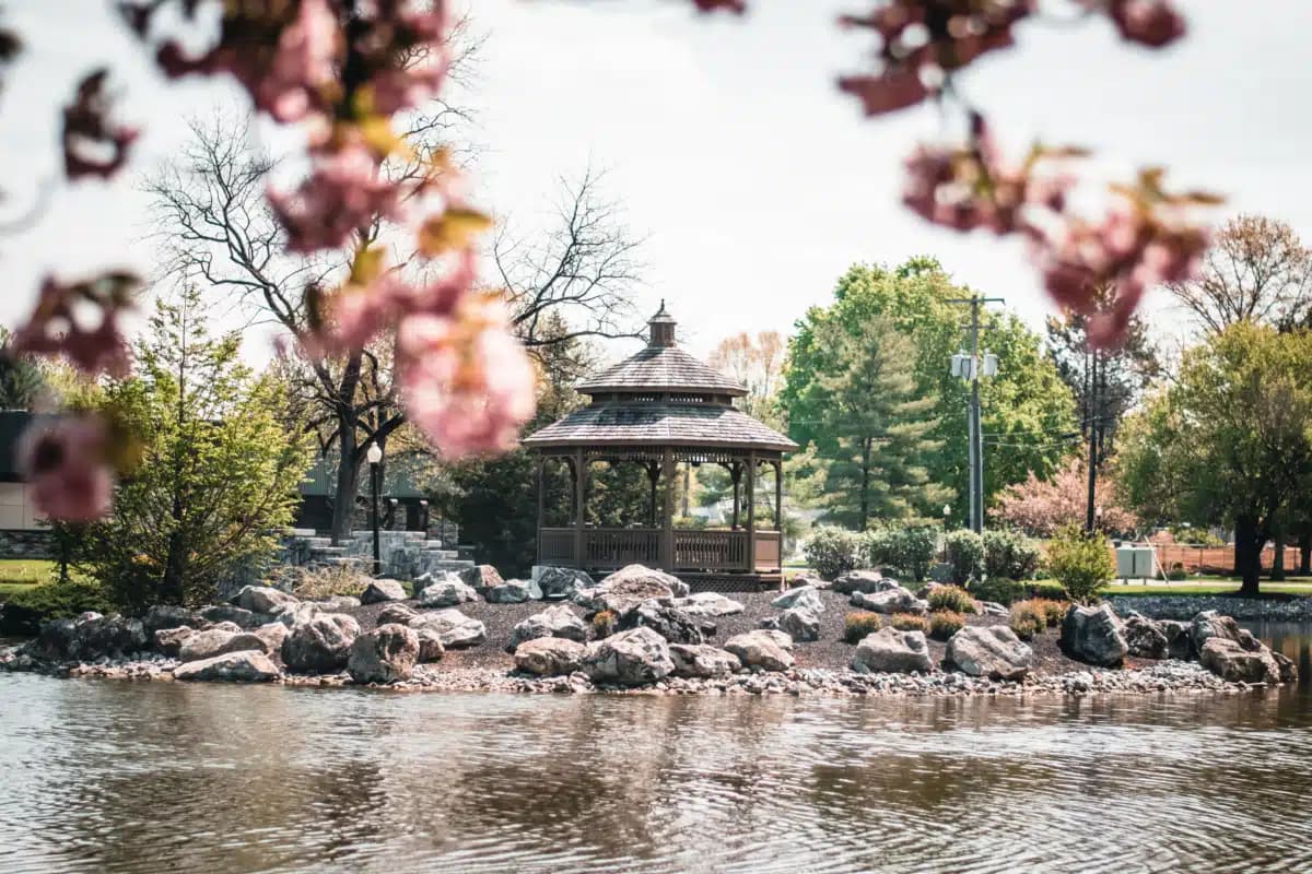 Blueprints For Addiction Recovery Inc