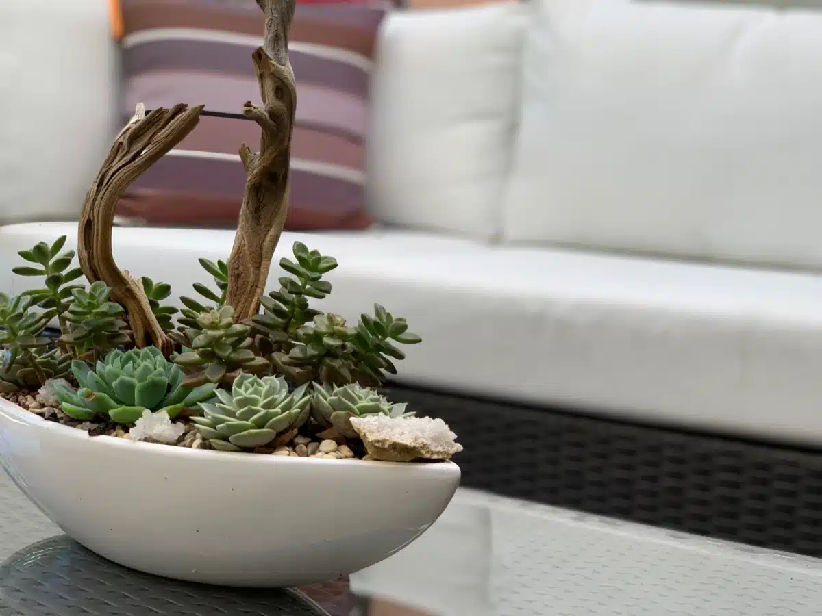 CAST Centers - Thumbnail 5