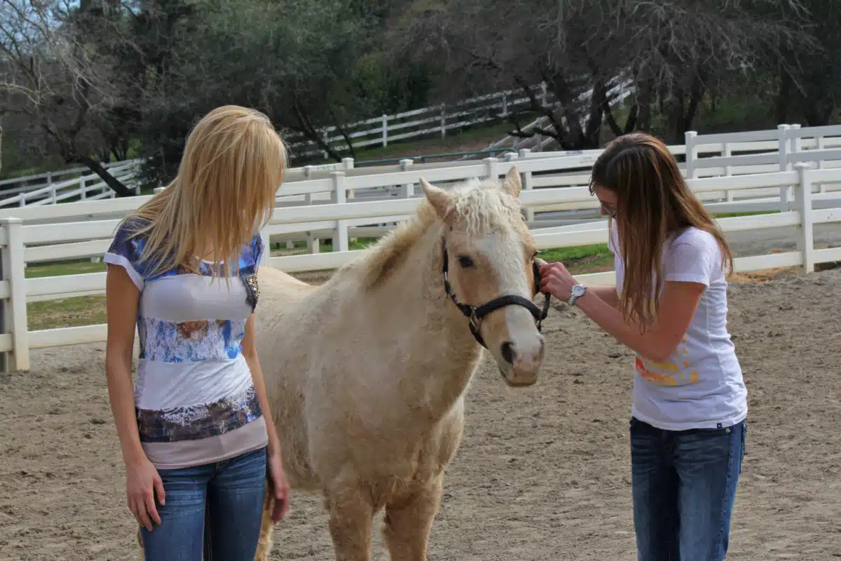 CDT Service Corporation - Thumbnail 8