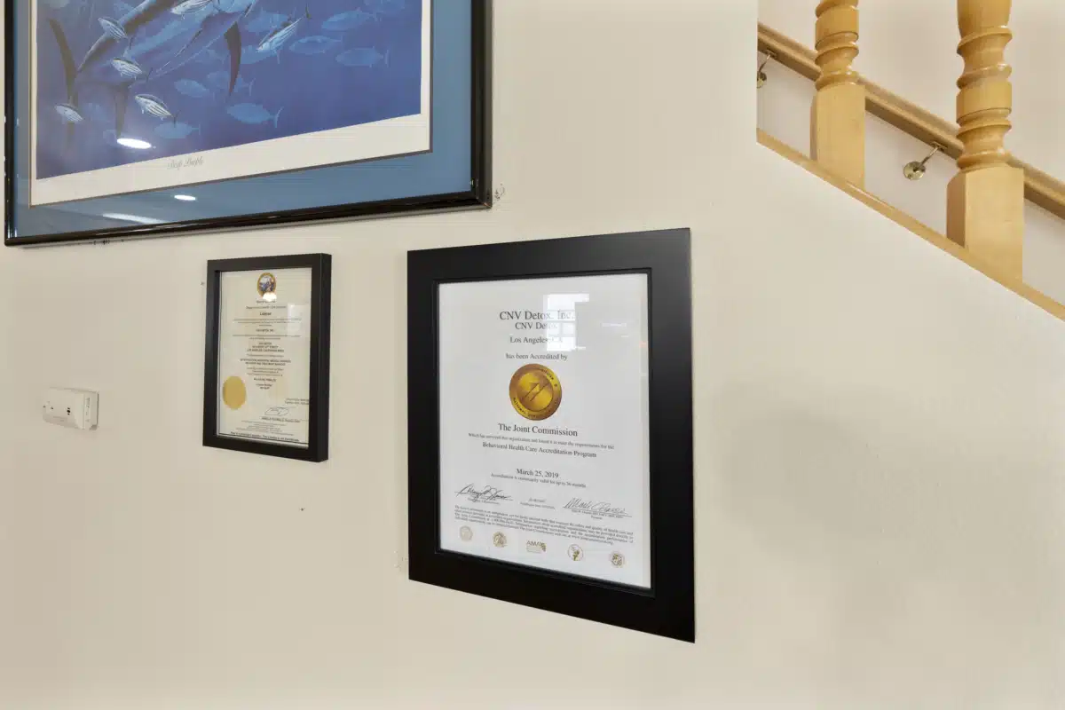 CNV Detox Inc - Thumbnail 9