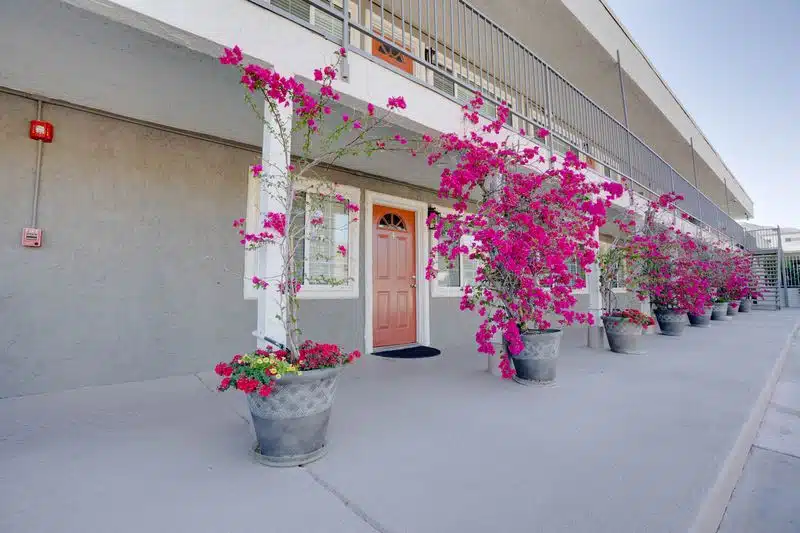 California Behavioral Health LLC - Thumbnail 7