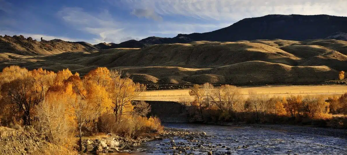 Cedar Mountain Center at