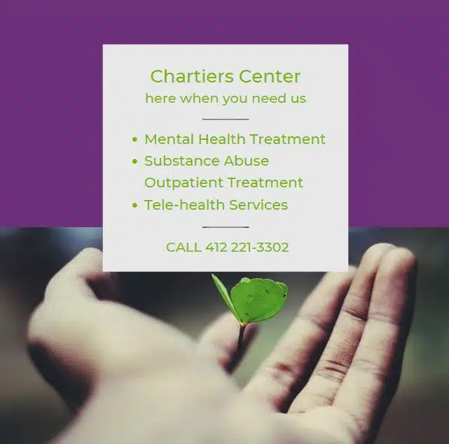 Chartiers Community MH and Retardatio - Thumbnail 5