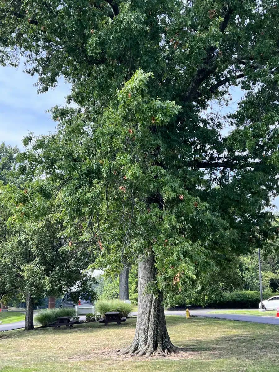 Childrens Home of Northern Kentucky - Thumbnail 8