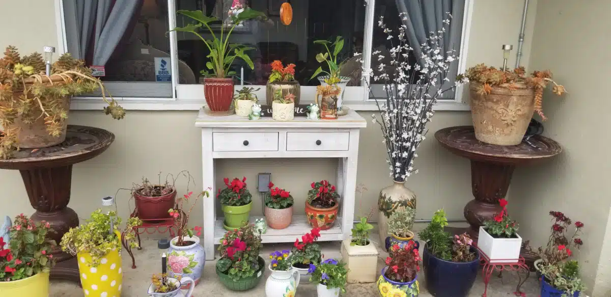 Clear Detox Center - Thumbnail 3