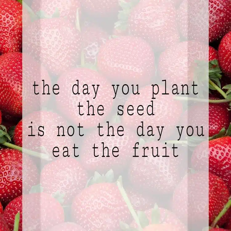 Clear Skye Treatment Center - Thumbnail 2