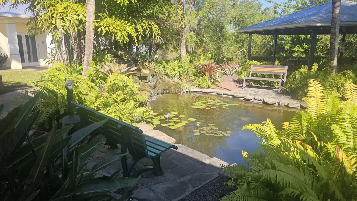 Coastal Detox Inc - Thumbnail 4