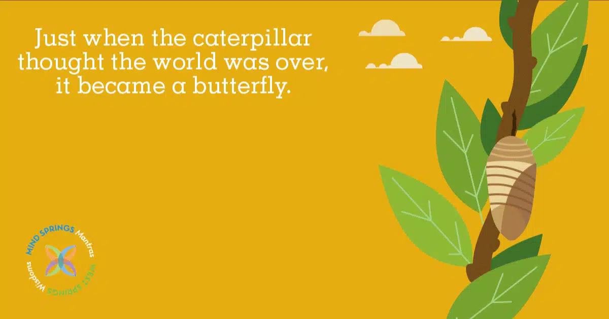 Colorado West Regional Mental Hlth Ctr - Thumbnail 9