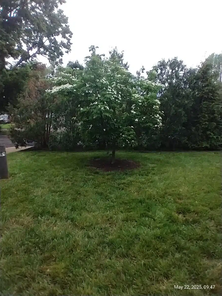 Columbus Regional Health - Thumbnail 7