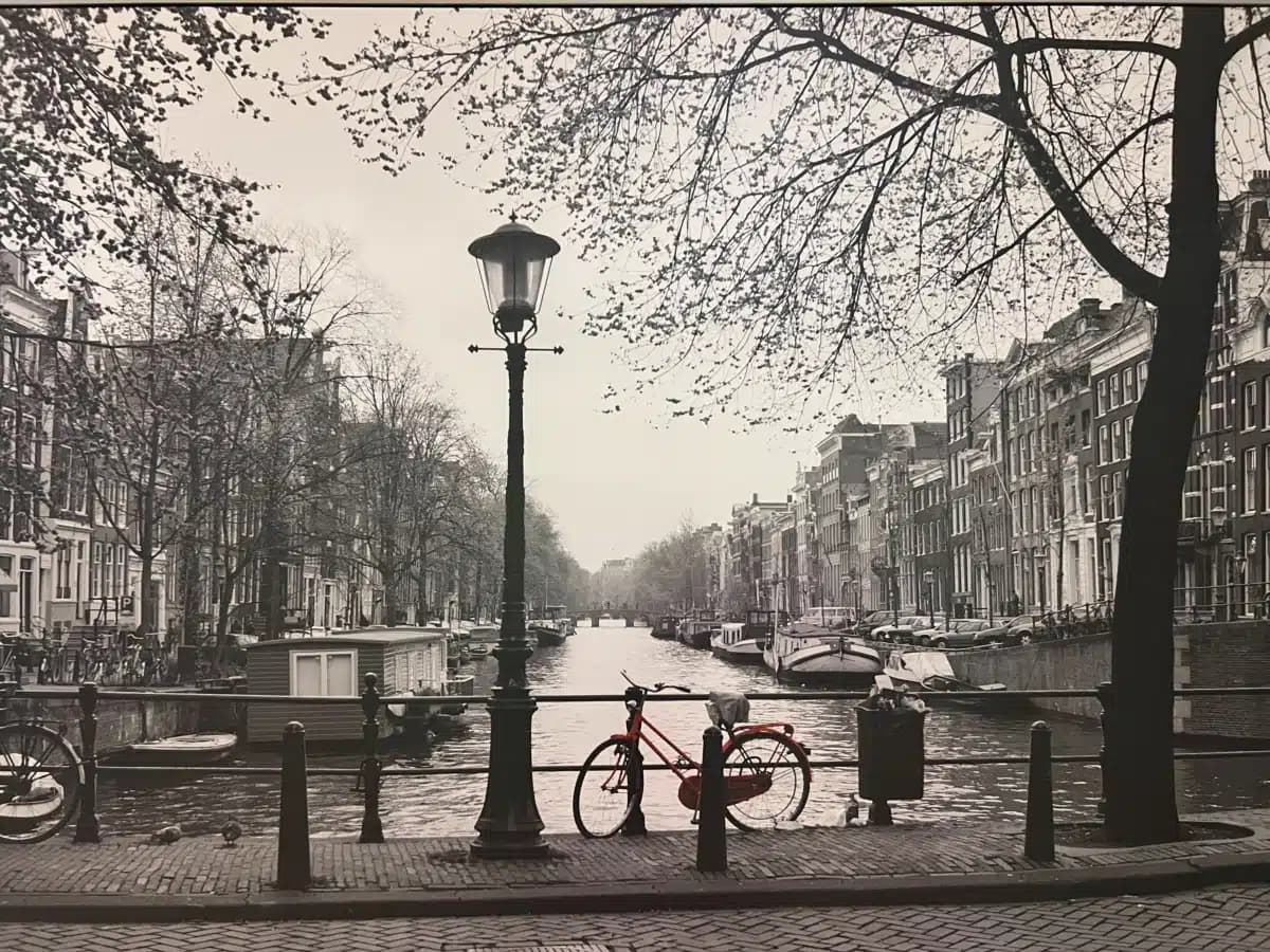 Complete Hlthcare Addiction/Gynecology - Thumbnail 2