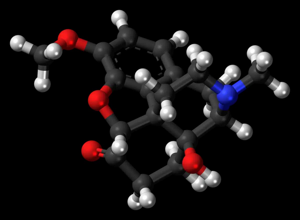 Comprehensive Behavioral Health Center - Thumbnail 6