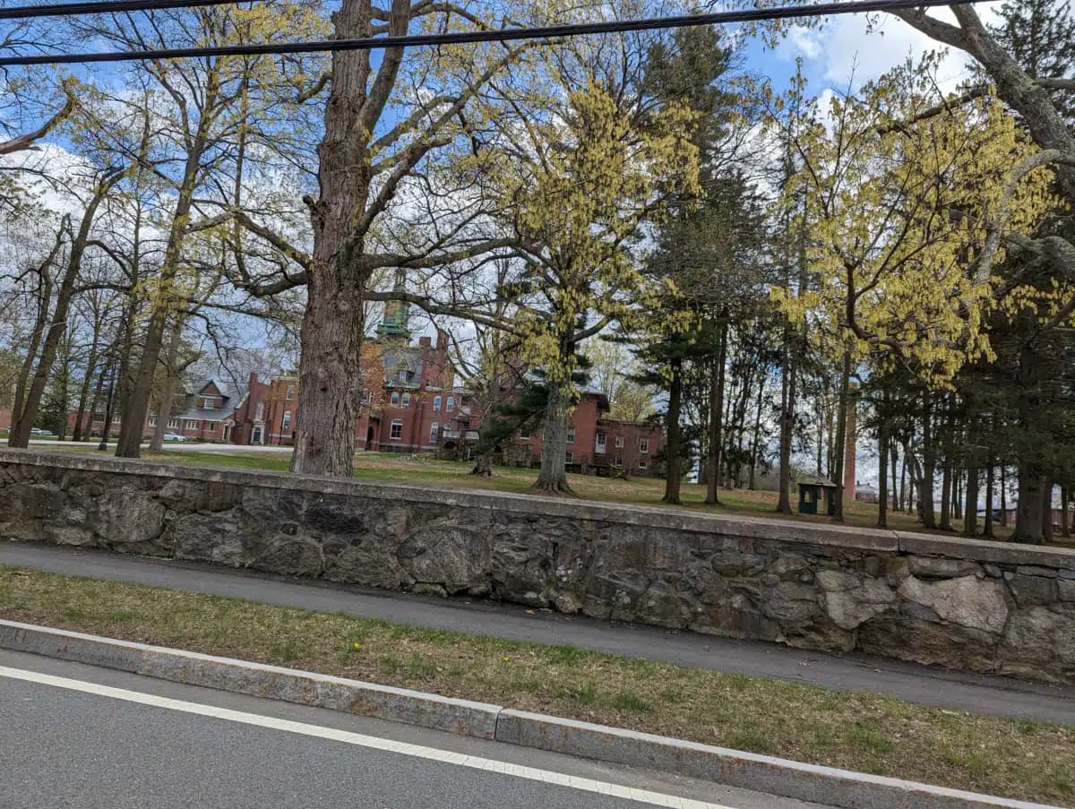 Conexiones - Thumbnail 5