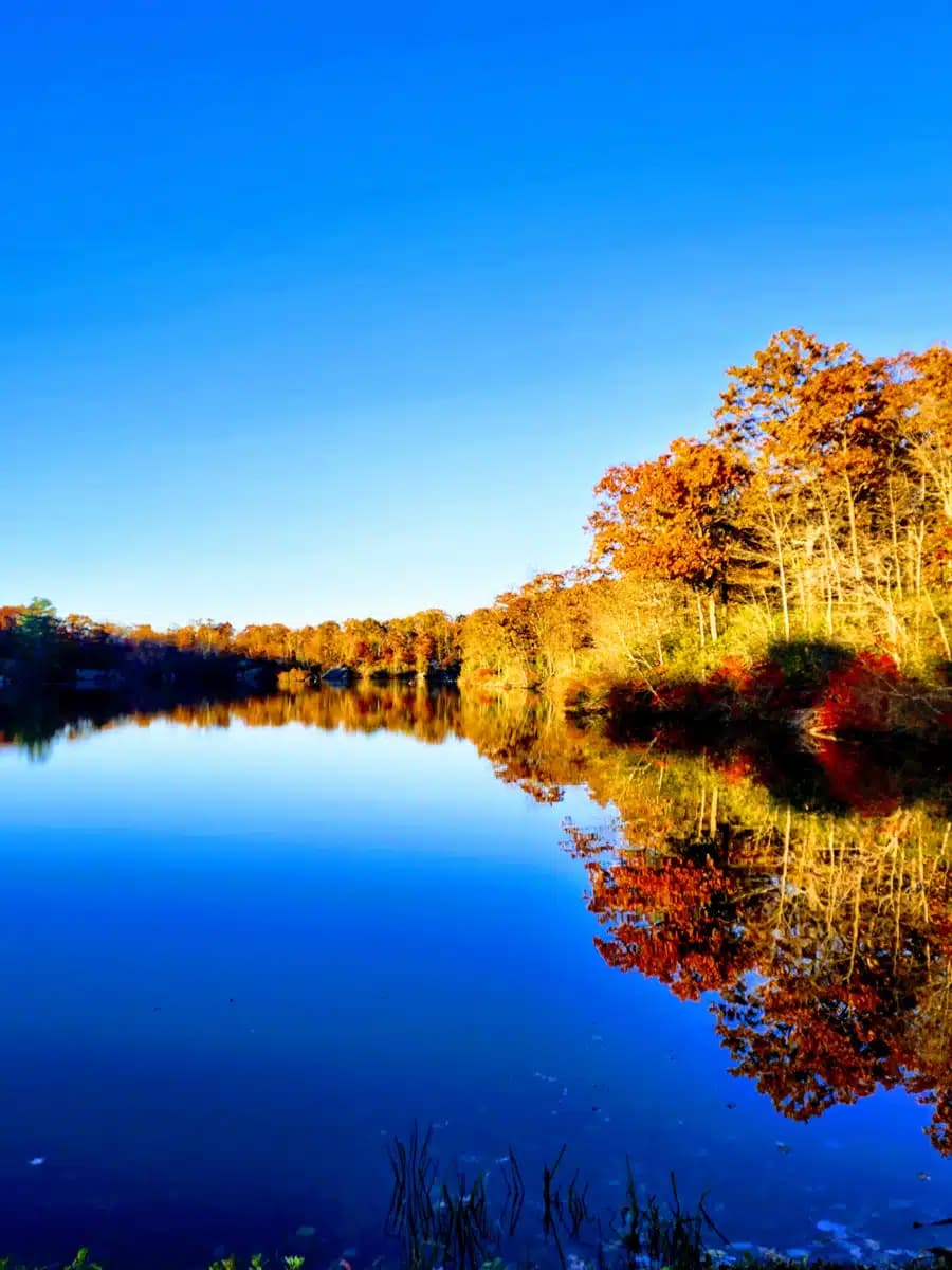 Connecticut Valley Hospital - Thumbnail 5