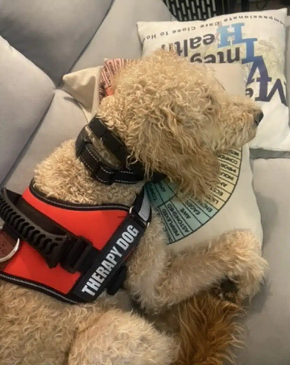 East Valley Integrated Health Home - Thumbnail 7