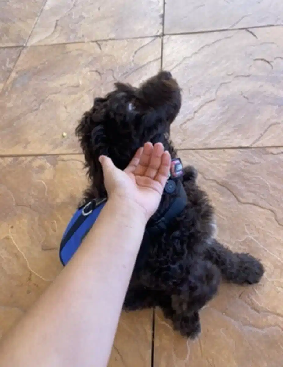 East Valley Integrated Health Home - Thumbnail 9