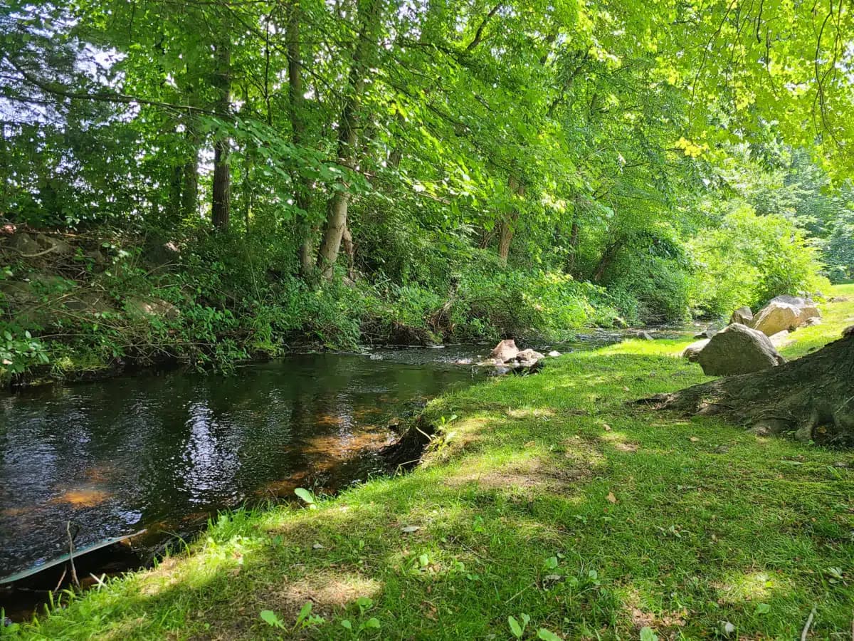 Elevate Health and Wellness - Thumbnail 2