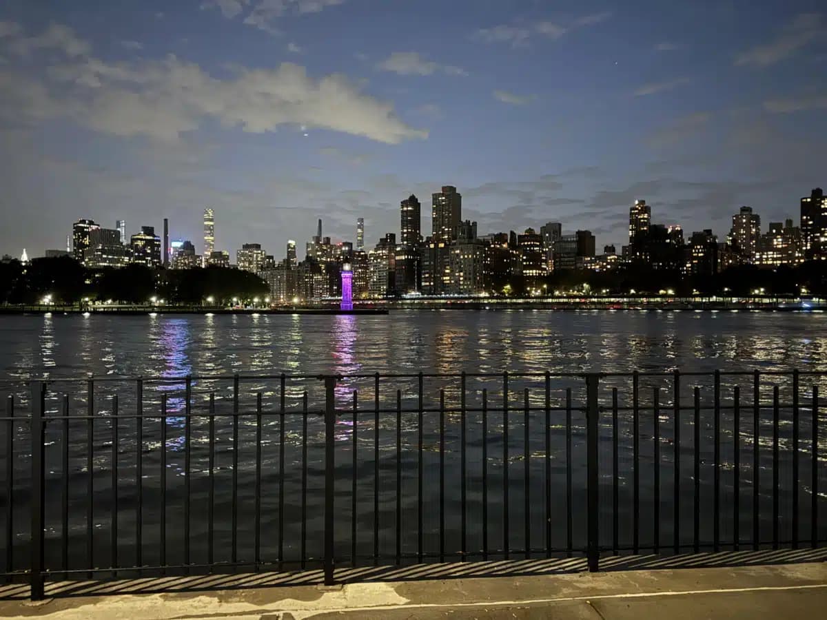 Elmhurst Hospital Center - Thumbnail 8