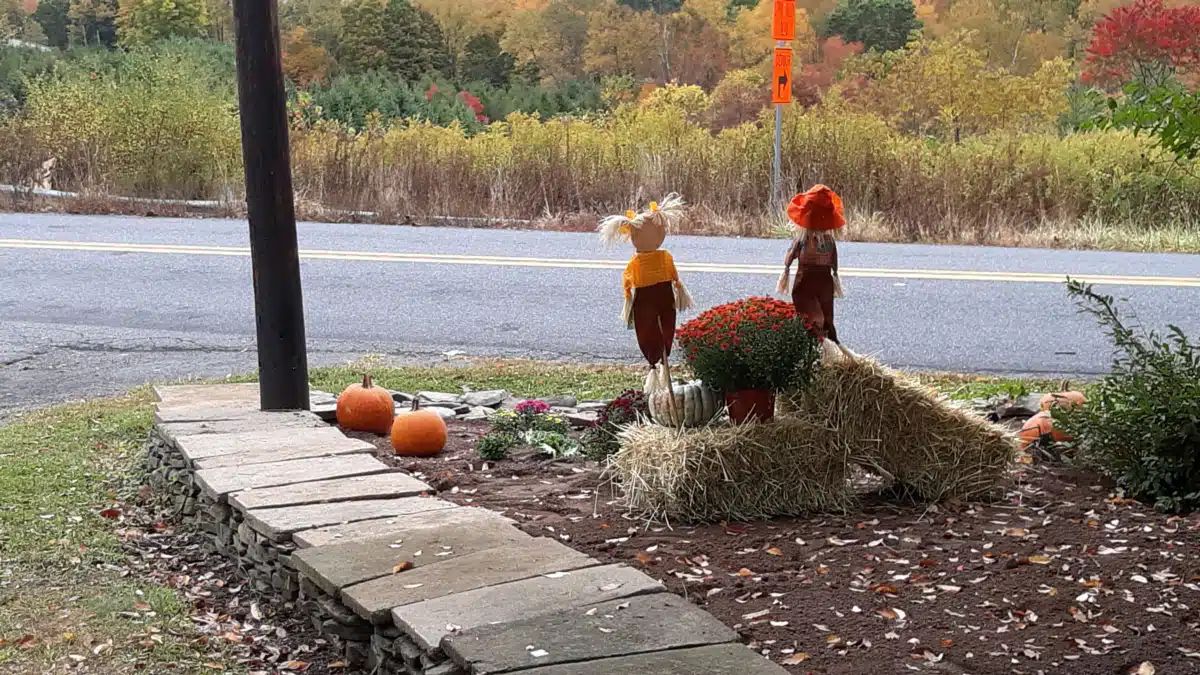 Endless Mountains Extended Care LLC - Thumbnail 8