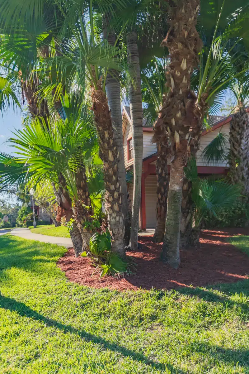 Fairwinds Treatment Center - Thumbnail 7