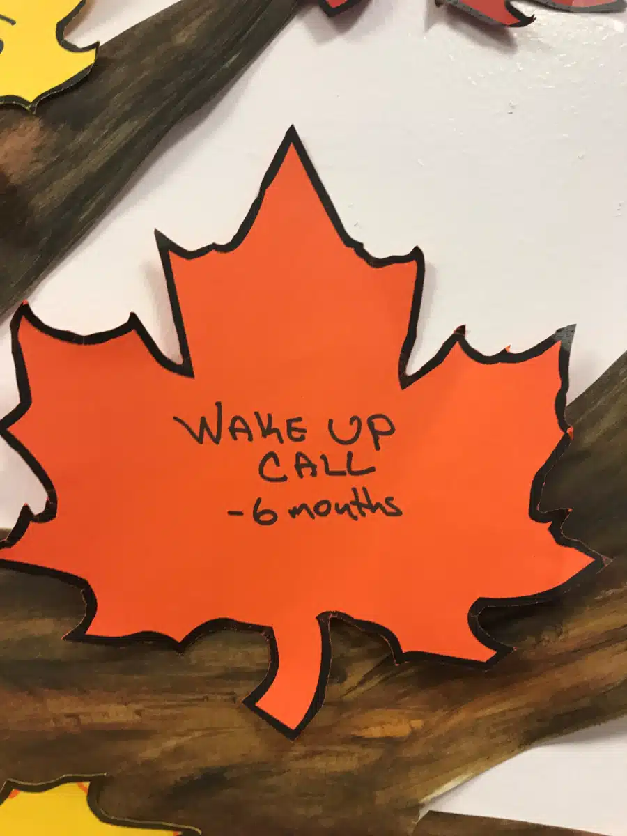 Family and Childrens Association - Thumbnail 5