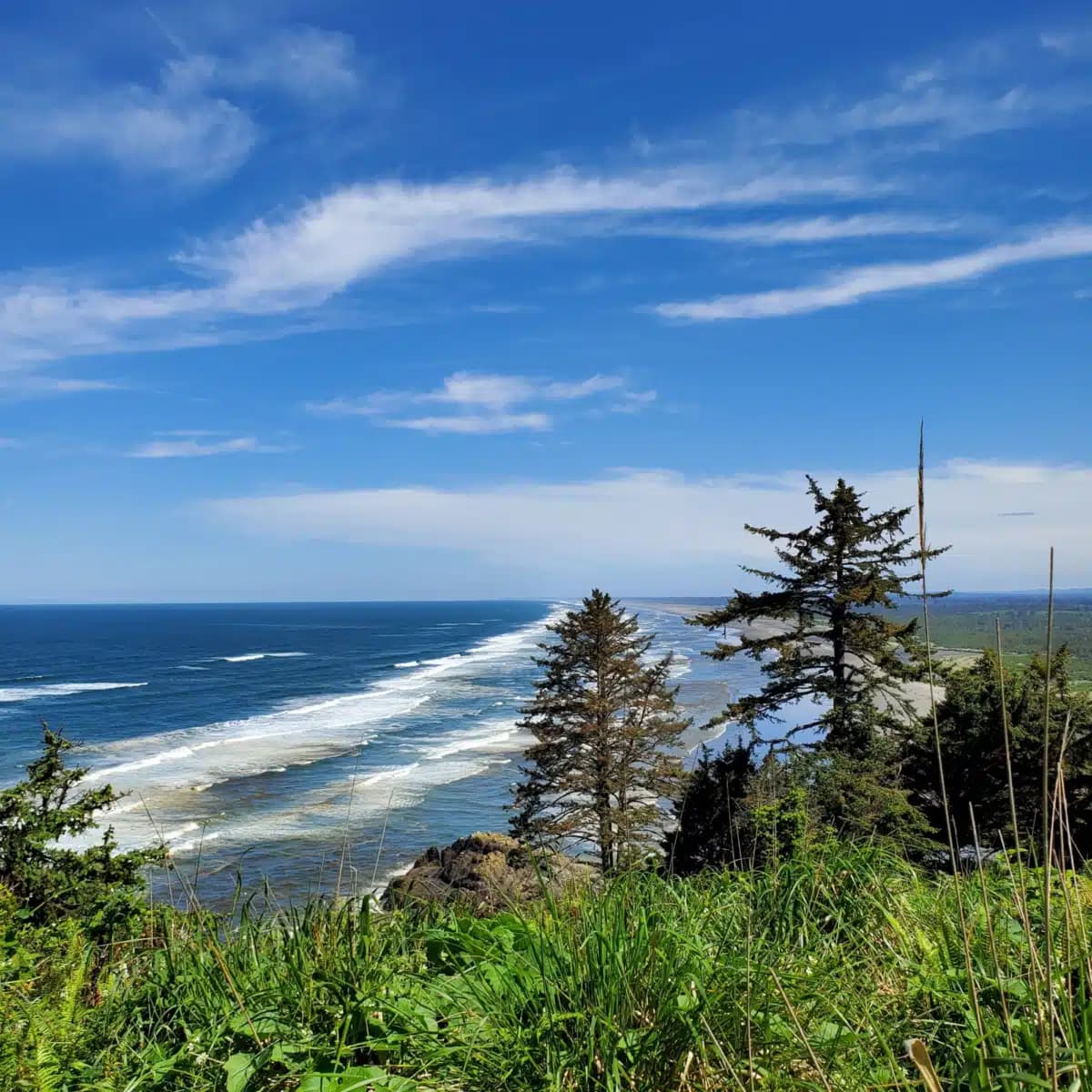 Free by the Sea - Thumbnail 2