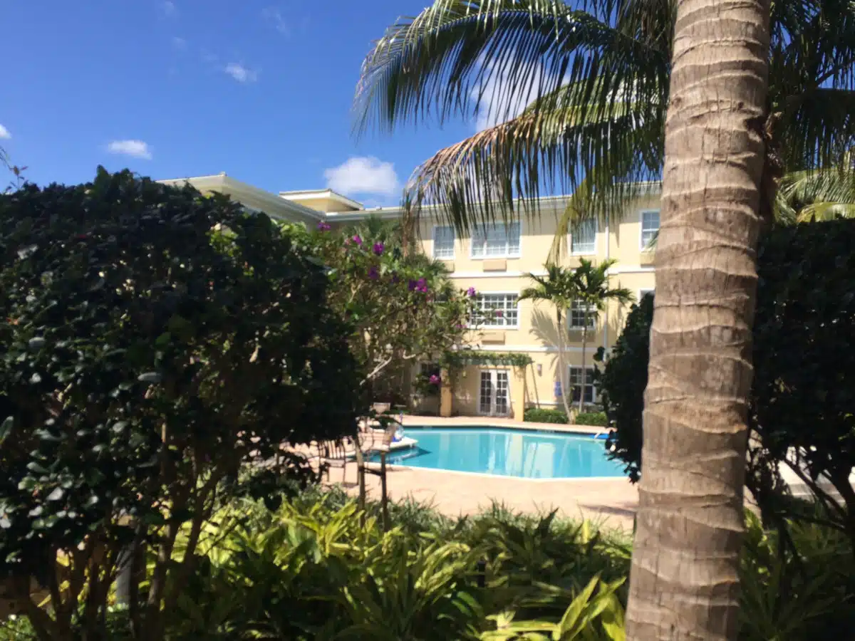 Futures of Palm Beach - Thumbnail 10