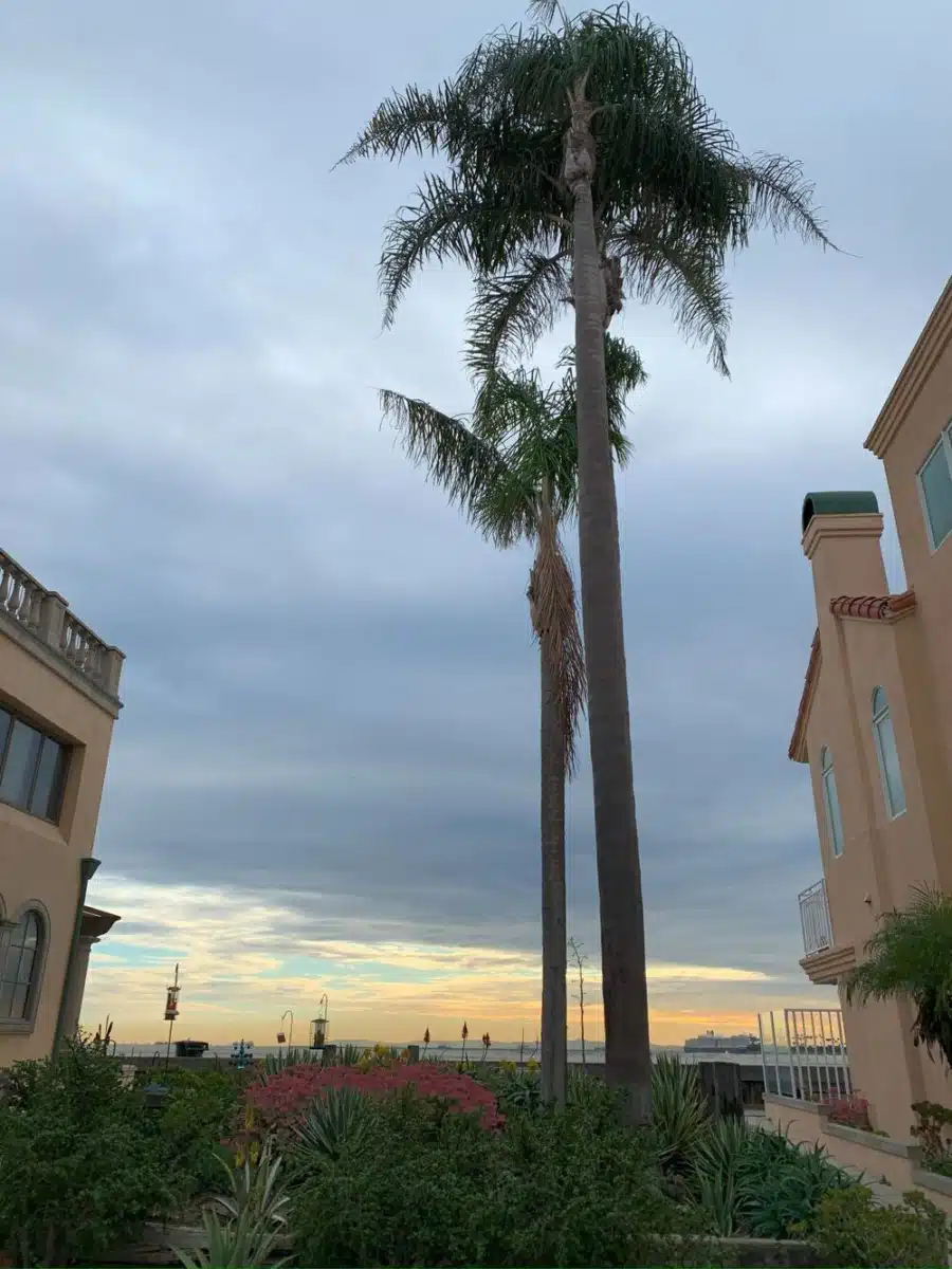 Gratitude Lodge - Thumbnail 10