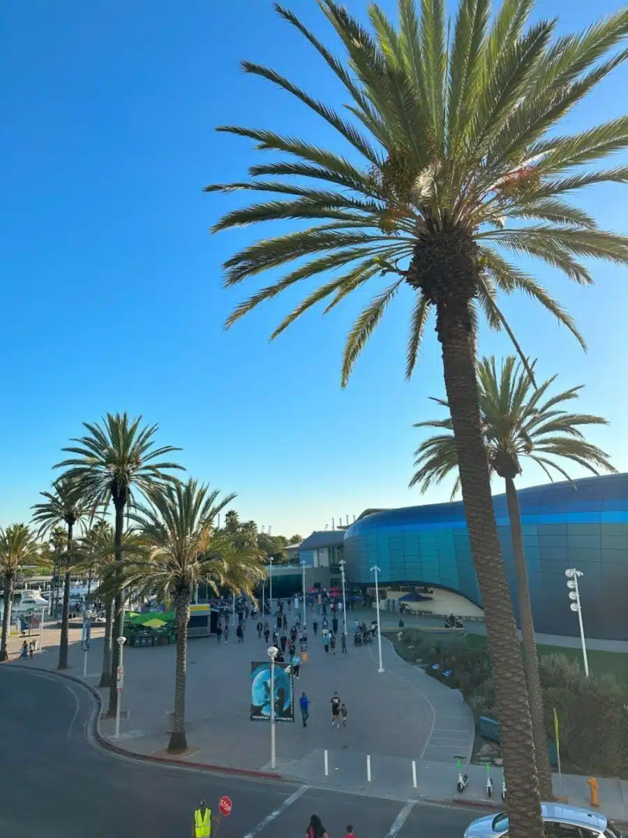 Gratitude Lodge - Thumbnail 8