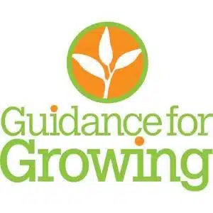 Guidance for Growing LLC - Hero Image