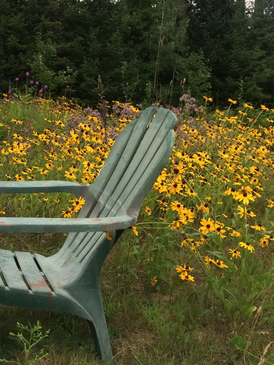 HALO Educational Systems - Thumbnail 2