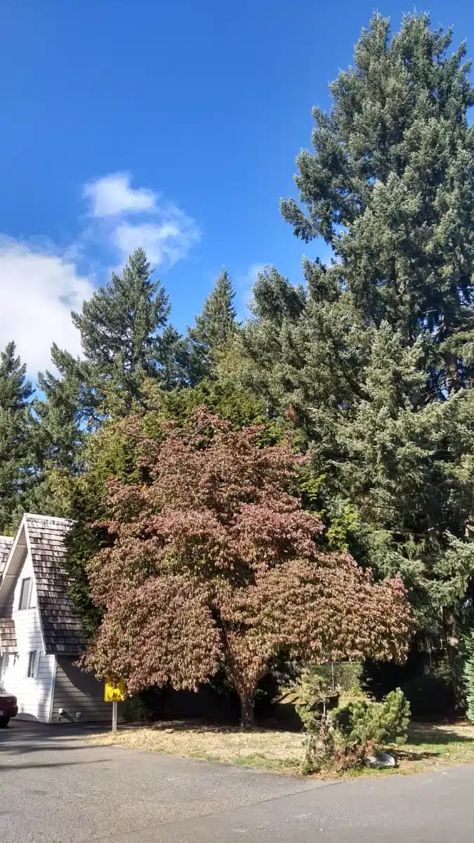 Harvest Home - Thumbnail 2