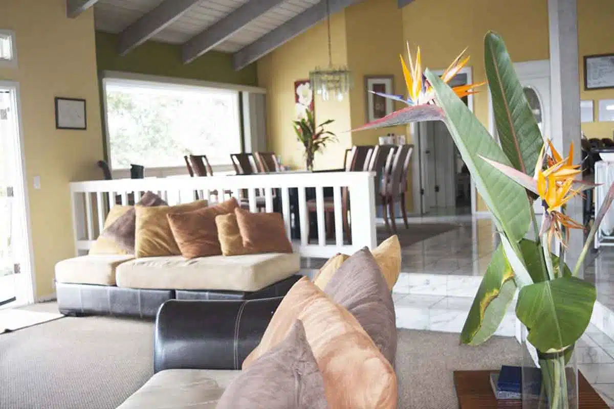 Hawaii Island Recovery - Thumbnail 3